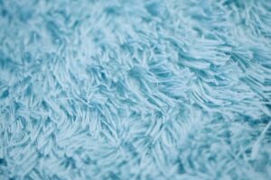 Green Cleaning Williams Carpet Care