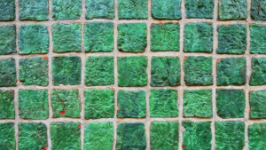 Tile and Grout