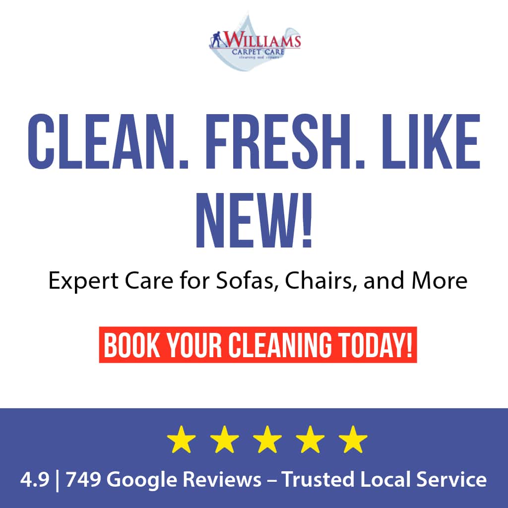 Upholstery Cleaning Service Near You